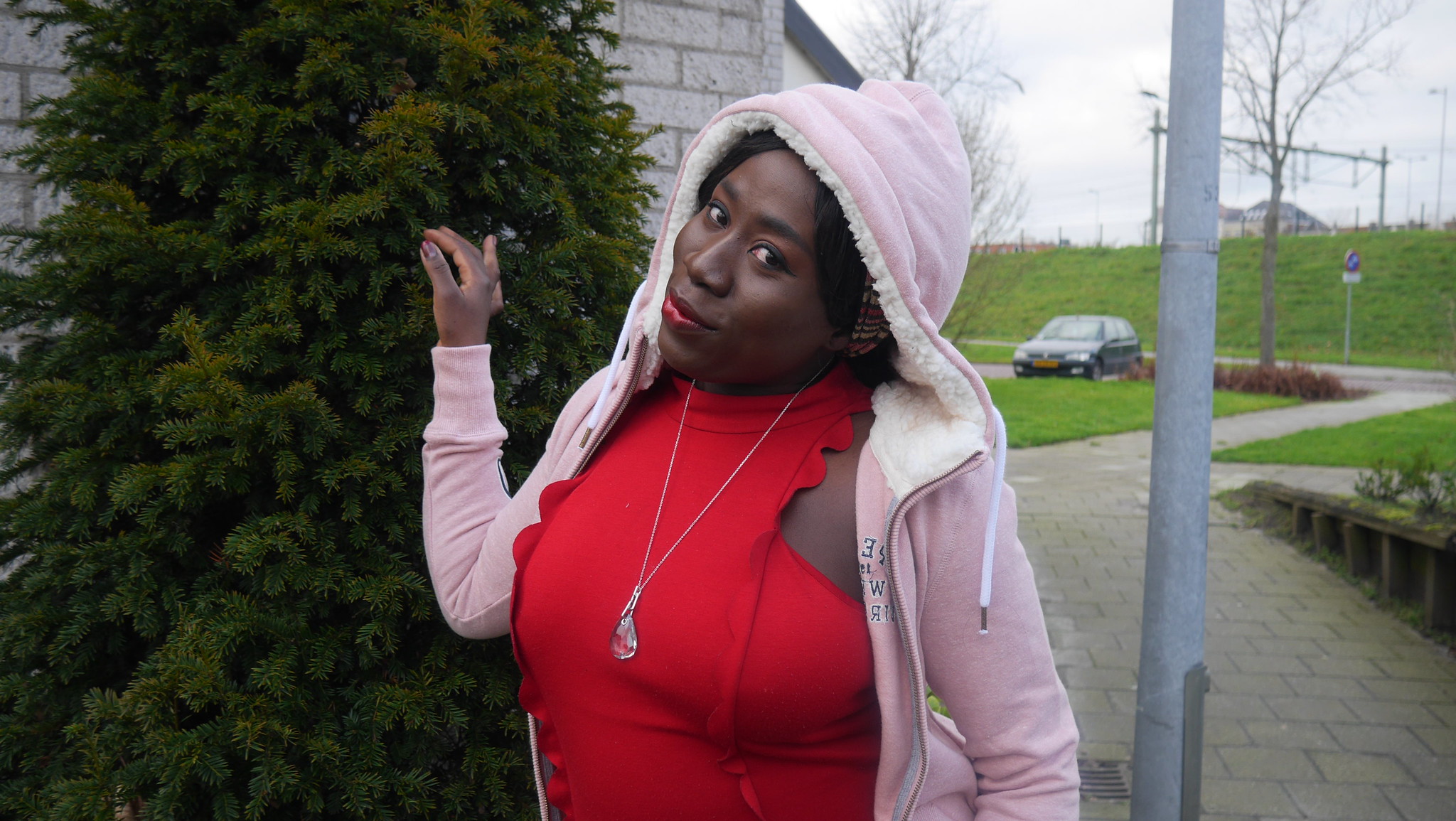 49274459642_826115172a_k